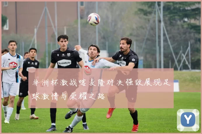 非洲杯激战喀麦隆对决强敌展现足球激情与荣耀之路