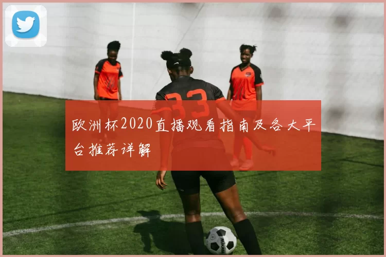 欧洲杯2020直播观看指南及各大平台推荐详解